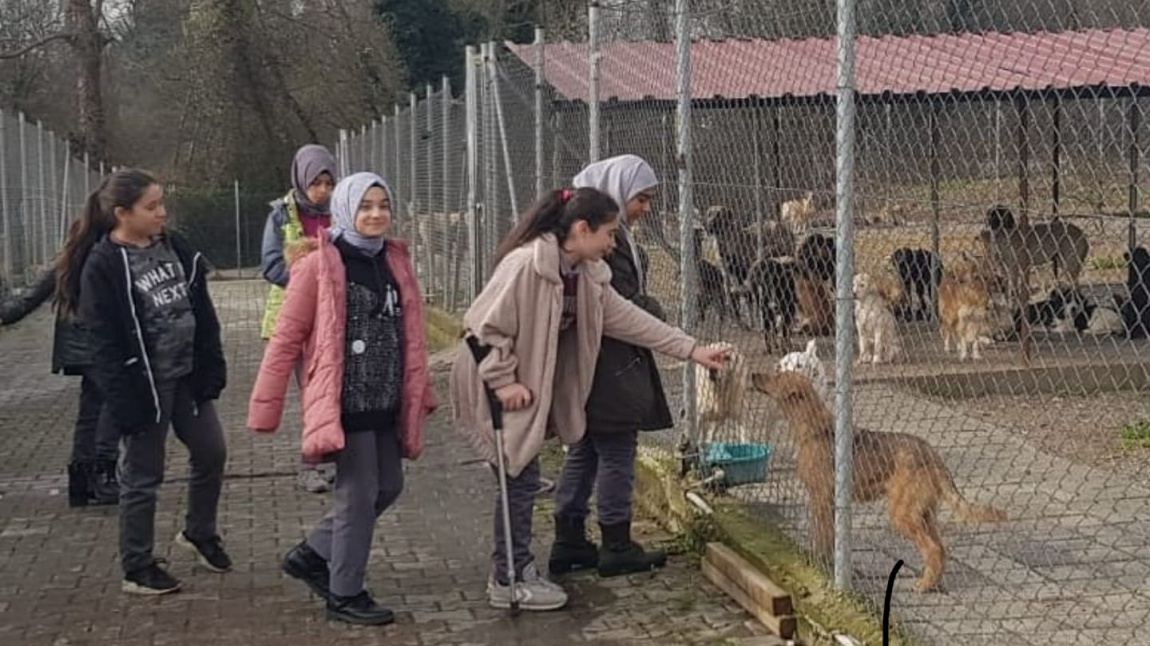 Öğrencilerimizle Hayvan Barınağı Ziyareti